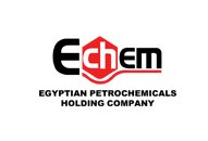 ECHEM logo